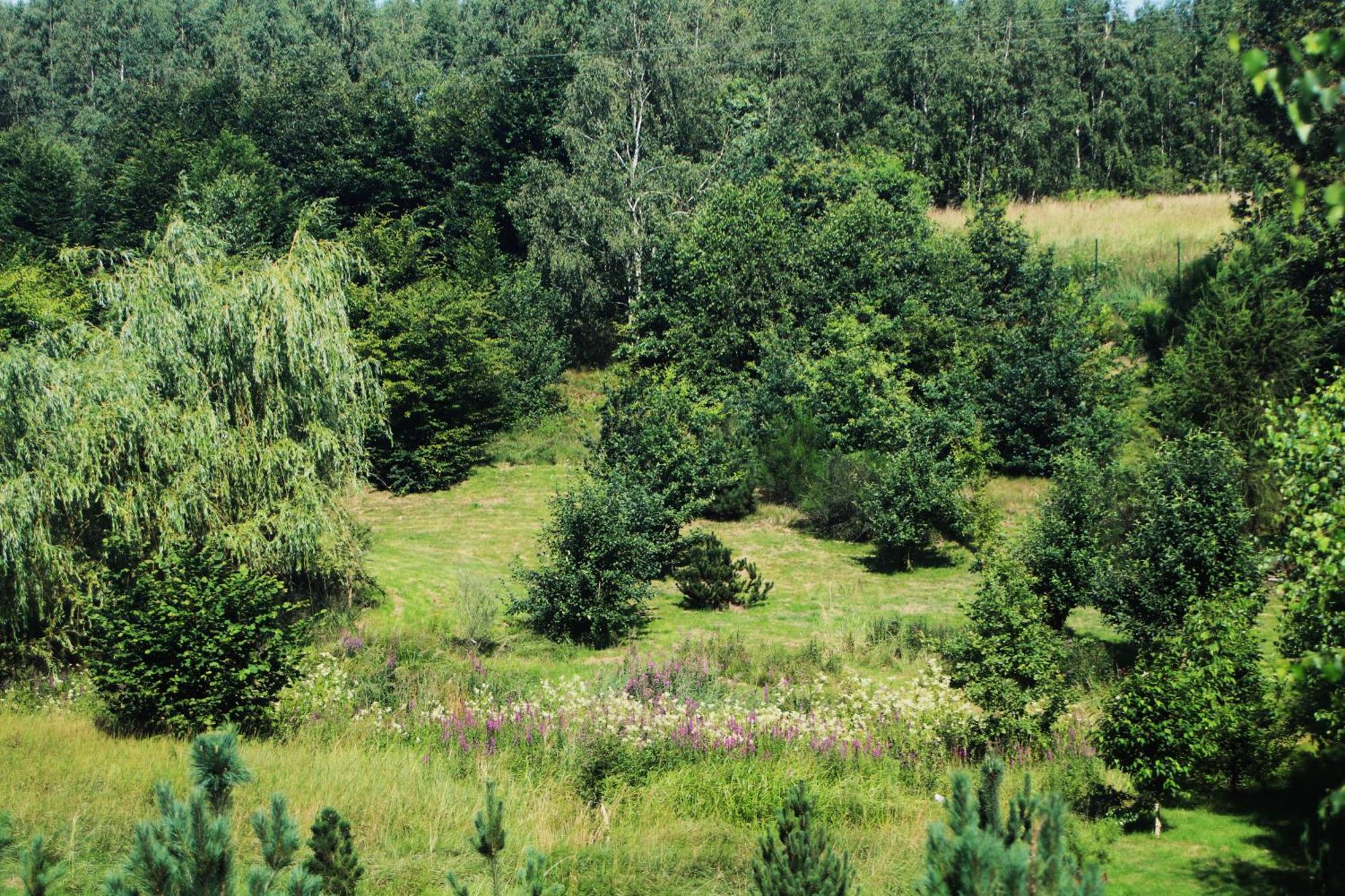 Gospodarstwo Agroturystyczne Powierzowka Leśna 外观 照片