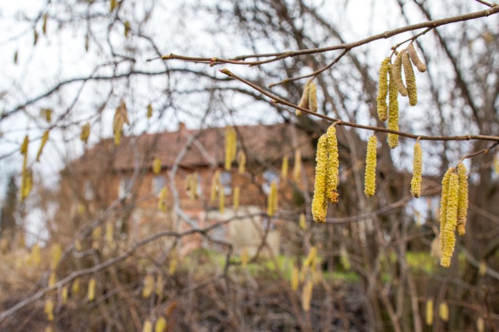 Gospodarstwo Agroturystyczne Powierzowka Leśna 外观 照片