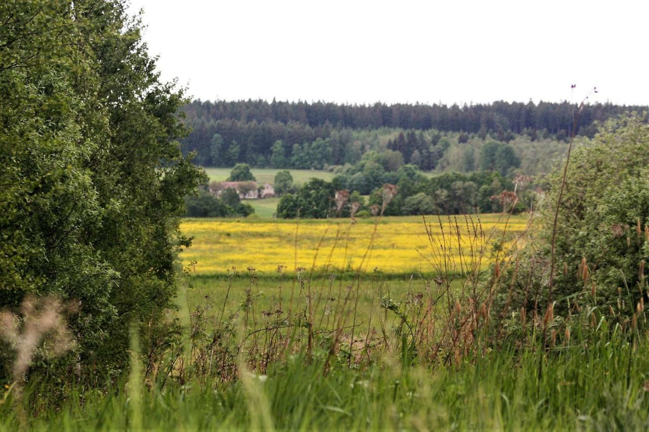 Gospodarstwo Agroturystyczne Powierzowka Leśna 外观 照片